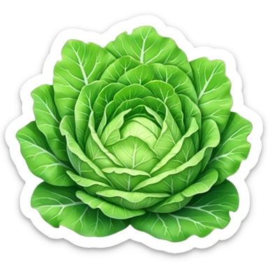 iceberg lettuce leaves sticker