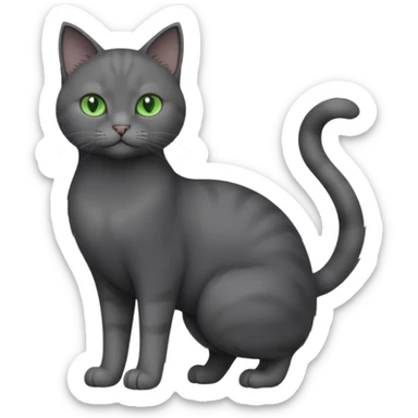 full body view of beautiful female solid dark grey cat with green eyes, grey face, white toes and white patch on chest sticker