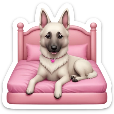 White belgian Shepard sit in a pink bed
  sticker