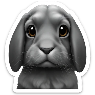 Black holland lop rabbit sticker