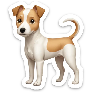 a full body facing front on of a buff white parson russell terrier looking dog the size of a kelpie with light brown long ears resting on its face and a light brown patch above one eye and a large snout. the rest of the dog is completely white.  sticker