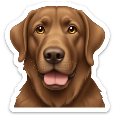 Brown labra doodle  sticker