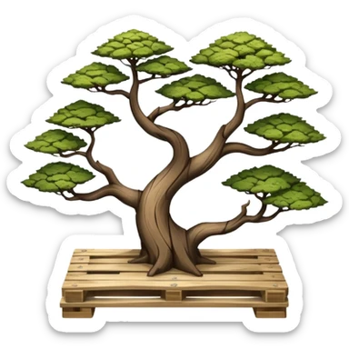 standing slanted bonsai trees on a  rack made from the wood of old oak pallets  sticker