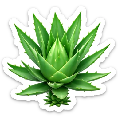 Cinematic Realistic Aloe Vera Emoji, Plump and succulent, with thick, fleshy leaves arranged in a star-like rosette. The vibrant green leaves have a slightly spiky texture, exuding a sense of resilience and healing. Soft glowing outline, capturing the essence of natural wellness and desert vitality in a flourishing aloe vera plant! sticker