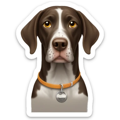 GSP dog  sticker