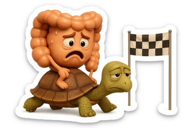  EMOJI STILE IPHONE 3D DI UN INTESTINO CON ESPRESSIONE ANGOSCIATA CHE CAMMINA SEDUTO IN GROPPA SUL GUSCIO DI UNA TARTARUGA IN ATTESA ESTENUANTE DI RAGGIUNGERE UN TRAGUARDO POCO PIù AVANTI, SULLA LORO DESTRA. IL TRAGUARDO è UNA BANDIERA A DUE PIEDI CON FASCIA A SCACCHI BIANCHI E NERI. iperrealistico 4k sticker