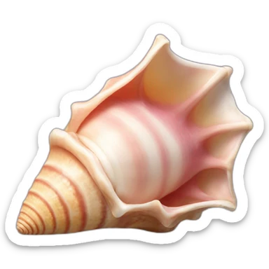 conch-shell sticker