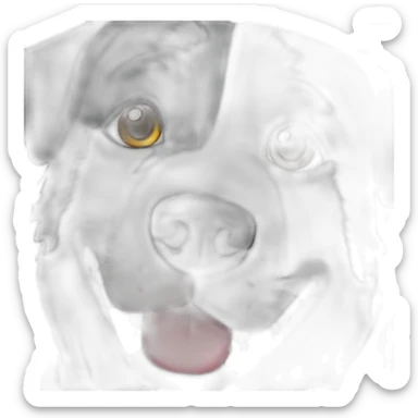 short-hair-black-and-white-border-collie-american-bulldog-white-around-left-eye sticker