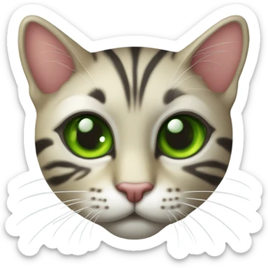 Gato atrigrado de ojos verdes sticker