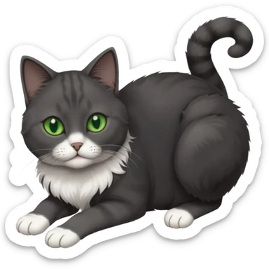 beautiful female solid dark grey cat with green eyes, white toes/paws and white patch on her chest rolling upside down sticker