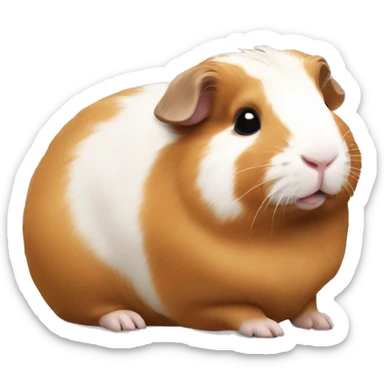 Guineapig laying down very cute but realistic sticker