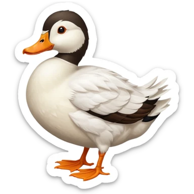 Dutch Hookbill Duck sticker
