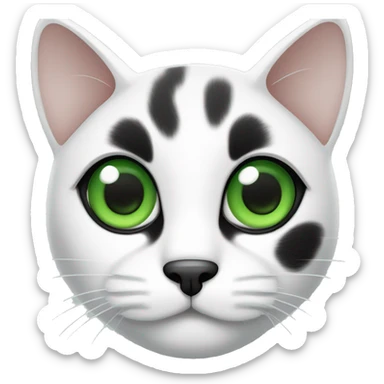 Black and white cat with green eyes, black dots on both ears and only one eye with green eyes sticker