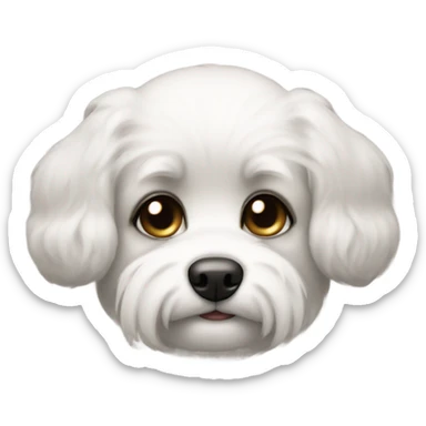 Slightly fluffy Small dog face with white muzzle, black fur around eyes and connects to floppy short ears, black nose, and a curious, sweet expression. sticker