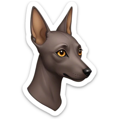 Cinematic Noble Xoloitzcuintle dog Portrait Emoji, Poised and regal, with a sleek, muscular build and smooth, hairless ebony skin accented by subtle wrinkles, deep-set soulful dark eyes, Simplified yet sharp and sophisticated features, highly detailed, glowing with a soft, dignified glow, high shine, intelligent and loyal, stylized with an air of ancient grace, focused and attentive, soft glowing outline, capturing the essence of a watchful and confident guardian, so majestic it feels as though it could stride out of the screen with effortless authority! sticker
