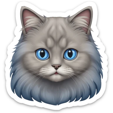 A cat which is a brittish longhair whit is gray color and hes eyes are blue sticker