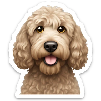 Australian labradoodle with black curly hair sticker