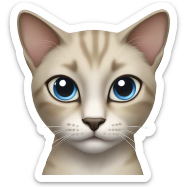 Thai breed cat with a light cream-brown body, dark gray face, ears, and paws. Short fur, sharp ears, and striking light blue eyes with an intense gaze. sticker