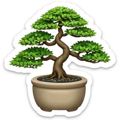 Bonsai Tree – Miniature tree in small pot, trimmed carefully, stone pot sticker