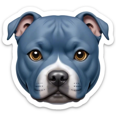 Cinematic Noble Blue Staffordshire Bull Terrier Portrait Emoji, Poised and regal, with a compact, muscular build and a sleek, well-groomed blue Fur, deep-set soulful dark eyes, Simplified yet sharp and sophisticated features, highly detailed, glowing with a soft, dignified glow, high shine, intelligent and loyal, stylized with an air of strength, focused and attentive, soft glowing outline, capturing the essence of a watchful and confident guardian, so majestic it feels as though it could stride out of the screen with effortless authority! sticker