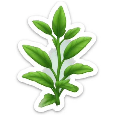  a plant with a thin, slightly hairy green stem. The leaves are oval, pointed, slightly serrated, and dark green in color. They are arranged in opposite pairs along the stem. sticker