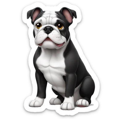 Bulldog francês orelha em pé preto e branco  sticker