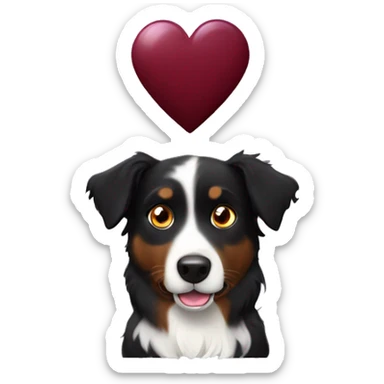 Small black australian shepherd dog with huge maroon heart sticker