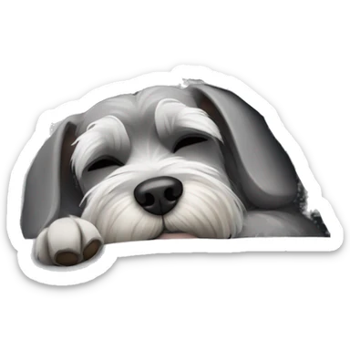 Grey and white mini schnauzer asleep curled up in a cozy grey bed      sticker