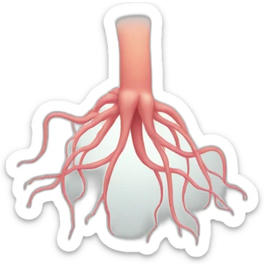 human nerve sticker