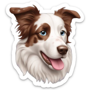 white red merle border collie with brownish spots and blue eyes and pink nose sticker