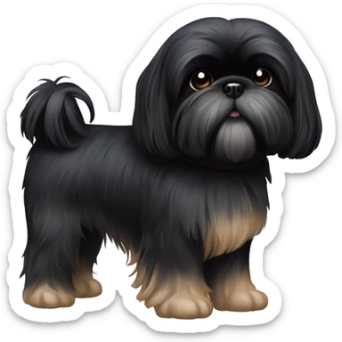 Black shitzu black fur sticker