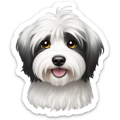 Black and white havanese sticker