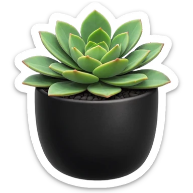 Desk Succulent Plant blavk cup sticker