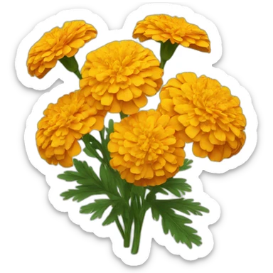 Marigold flowers sticker