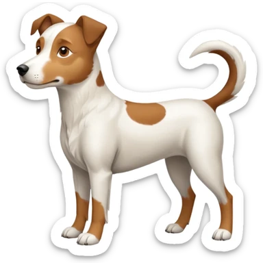 a full body large white parson russell looking dog the size of a kelpie with light brown flapped down ears and a light brown patch on one eye and a large snout sticker