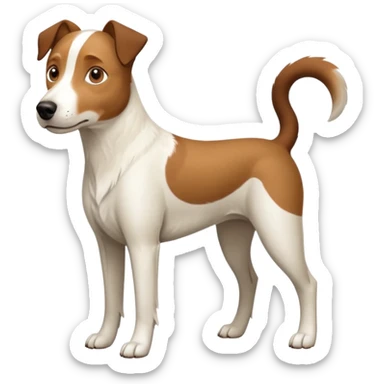 a full body large white parson russell looking dog the size of a kelpie with light brown flapped down ears and a light brown patch on one eye and a large snout sticker