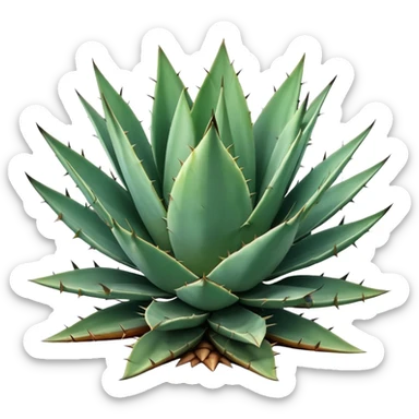 Agave sticker