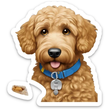 Goldendoodle with blue collar is eating brown food sticker