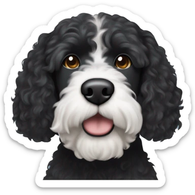 black Portuguese water dog with brown snout and white circle patch of hair on only top of head sticker