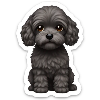 Brunette girl long straight hair, holding a dark gray maltipoo with a white snout sticker