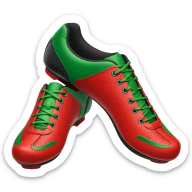 indoor cycling shoe, both of them with christmas color sticker