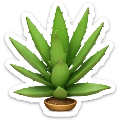 tequila agave sticker