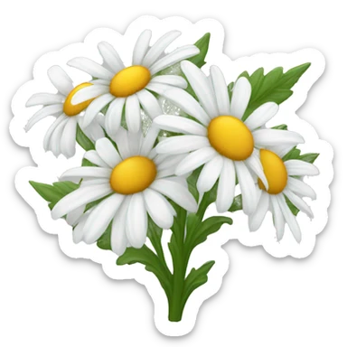 Shasta daisy sticker