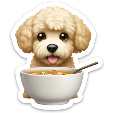 maltipoo eating miso soup sticker