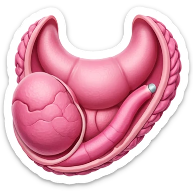 uterus sticker