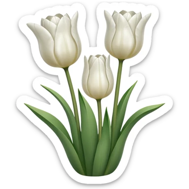 White tulips sticker