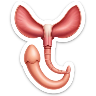a uterus sticker