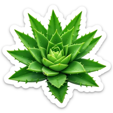 Cinematic Realistic Aloe Vera Emoji, Plump and succulent, with thick, fleshy leaves arranged in a star-like rosette. The vibrant green leaves have a slightly spiky texture, exuding a sense of resilience and healing. Soft glowing outline, capturing the essence of natural wellness and desert vitality in a flourishing aloe vera plant! sticker