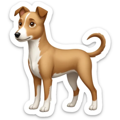 a full body large white parson russell looking dog the size of a kelpie with light brown flapped down ears and a light brown patch on one eye and a large snout sticker
