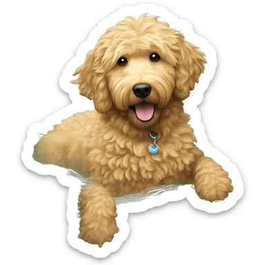 A golden doodle with wavy fur swimming in a pool sticker